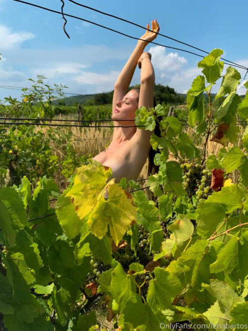 95ba090ae8b66255fdfac5ce2cb06a84