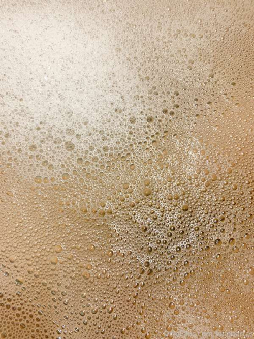 c50b821584e6f6361993d08ad7b03b14