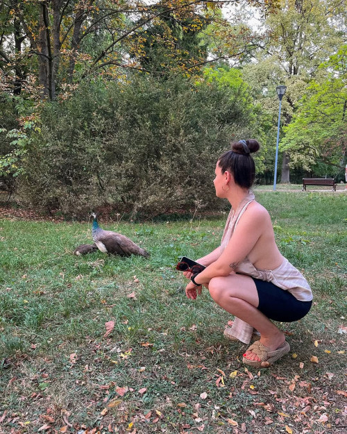 e23d4488dd81acb6d40433050b8aae72