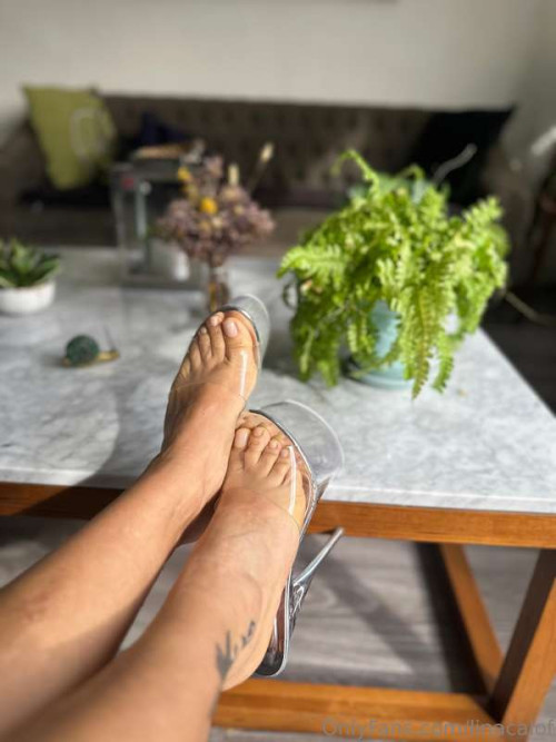 feeb6afdb01a65150cec5cb6d8080d7c