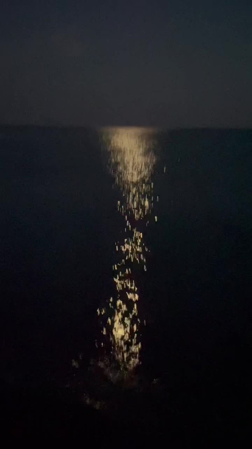 c2f6dbc4e8e9474f1b0d6aafae6ce170