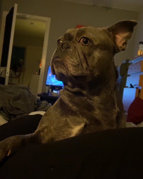 ab0e5a4a0e7f1cd5ccec456cad19647b