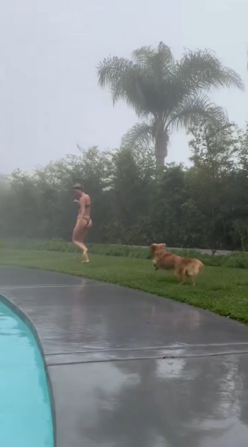 14908bed9010fabf1eb1251e2fc019bc