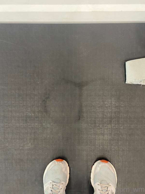 ed6d83f88db3017ea69901fef0573b4e