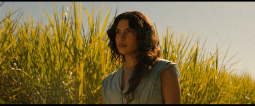 0da857f99ce592362e408920e37f47bc