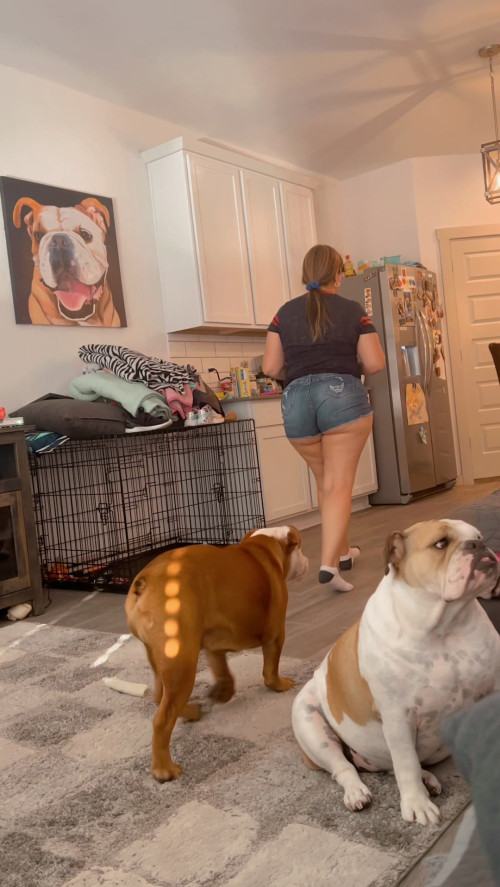 203b697aa2b618fe29eaec2ab00892ad