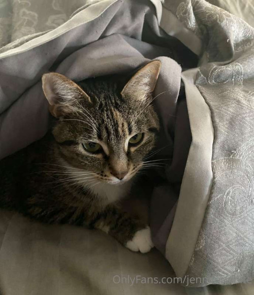 8b763f56e669cd74ec8b56a726afb95f