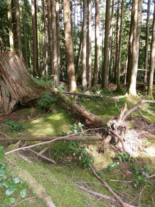 a20c031dff02f423429dc97cfb060d96