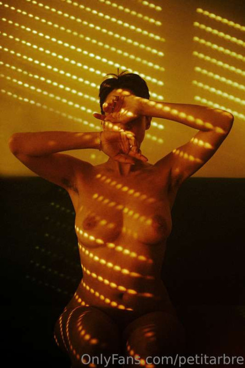 02cb61bca426efa9c7b664c396c0209b