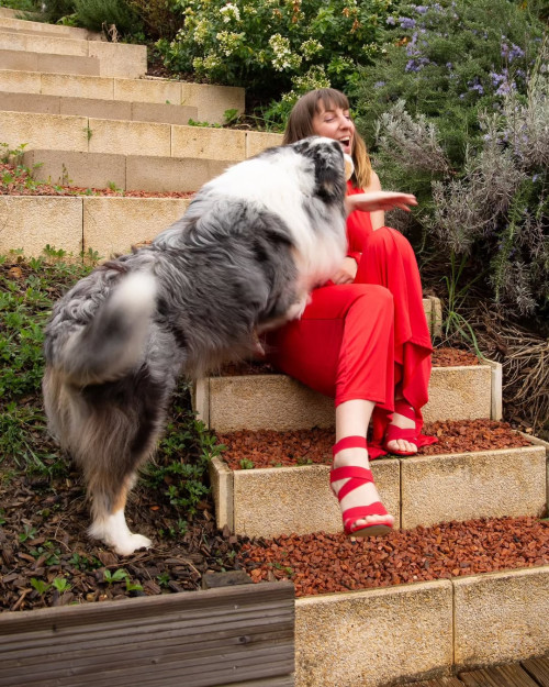 213170f040e0e11e8ffb1ef46b372a6f