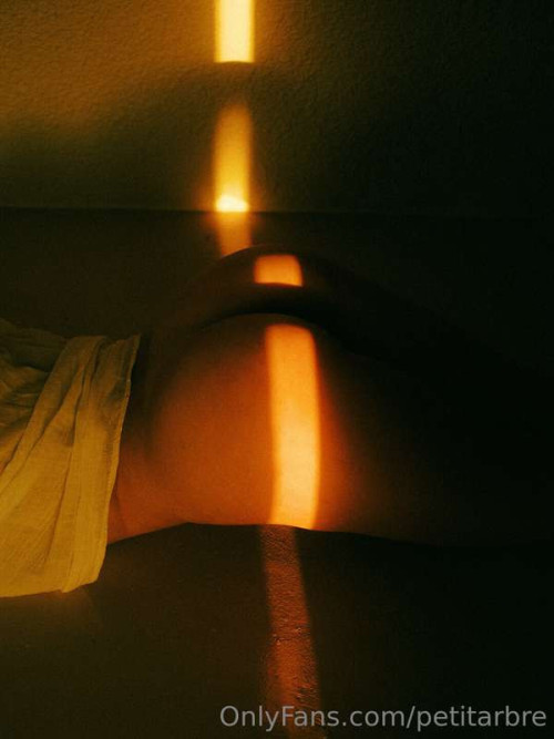 3586c03d34bb00de5703fd267f5bd2ce