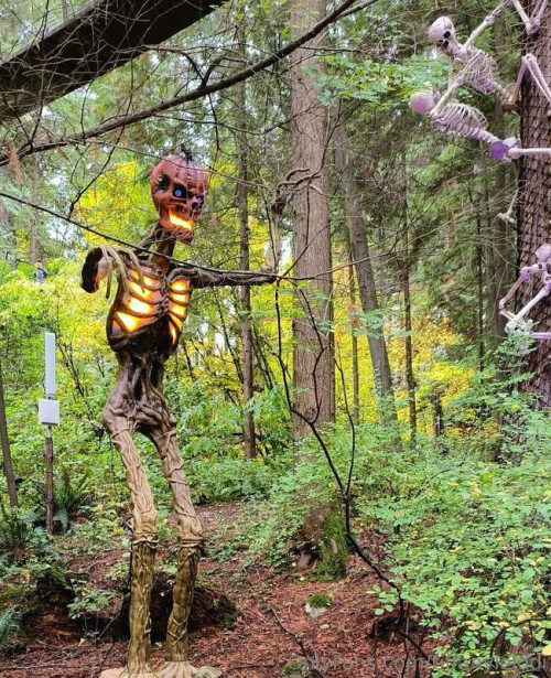 3a6c038d421d068c810dd29d9d429a53