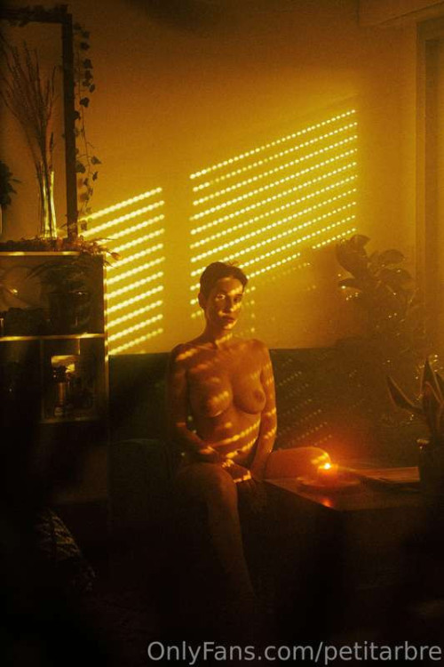 3ddb9fdcc5baae9f70a59b0dae0e28a9