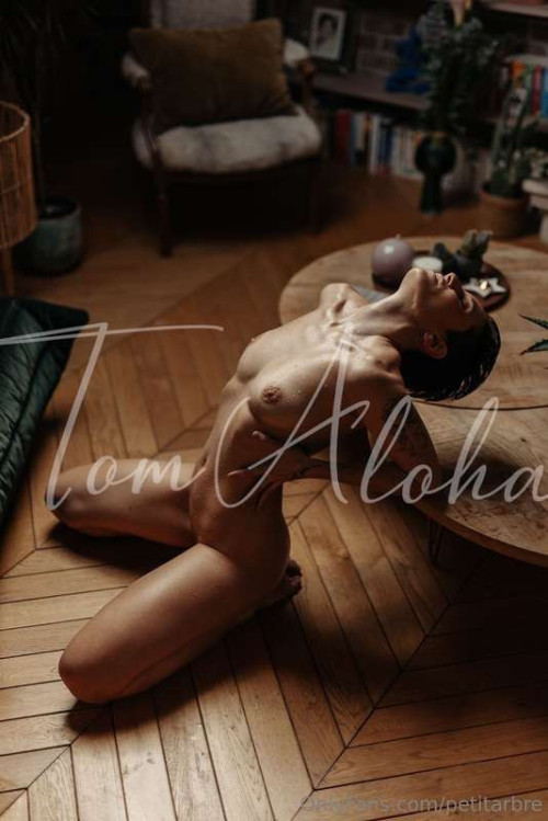 66db43c9d038ac3776257964c2b37812