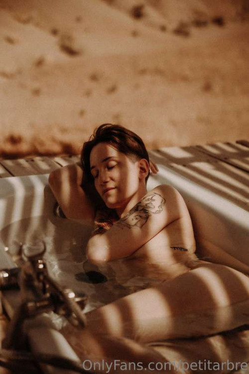 732e8cfa34557e3c44839a1e56567dce