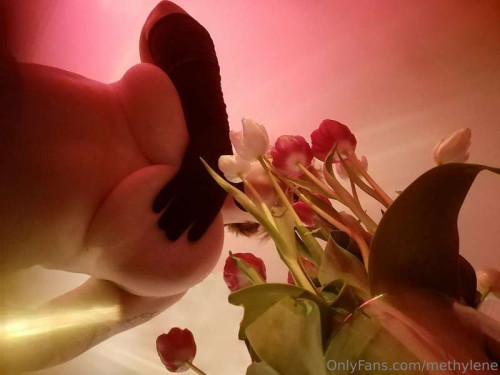 7a75f4322dbe7be9cdd5517a597fe488