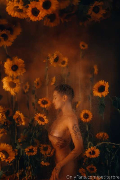 8f6d34a78c5808f0fad3189971cf0eca