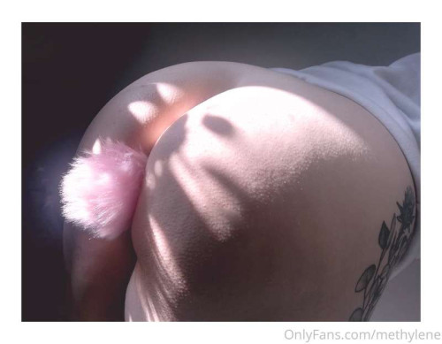 ab5a0faf2bd3961cb9c53d98e8bee027