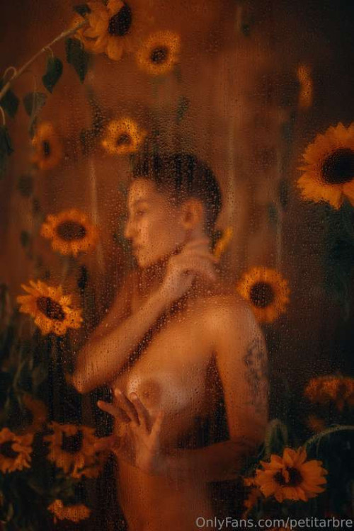 ae0eb71103a77b85a1a75a9e5a761bb3