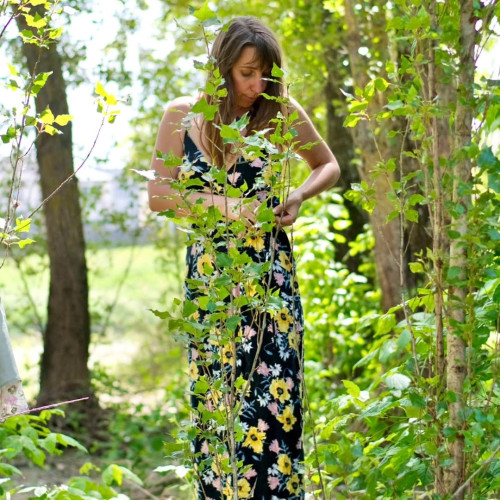 d4e847be83cac4dab140462c72be8cca