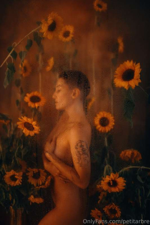 e2a4c9ae5bba8541cf19bd933aa74404