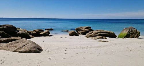 ece458696a429ce7768f2711eebbf4b9