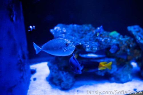 0773cfcad8c2e89bd8da3299a20b6e65