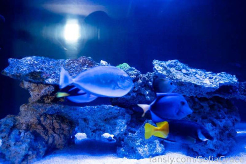 184bef387e50f6e8217edde6b381e4ae