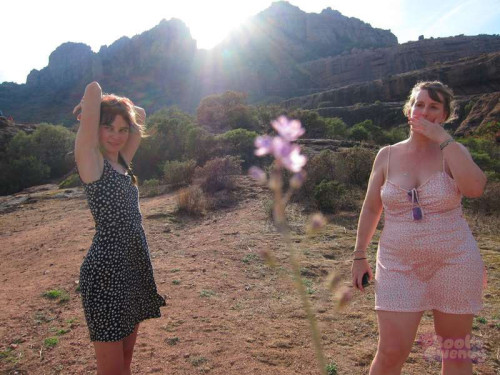 1a1ab1e7b9186d86167df0a41e7b3095