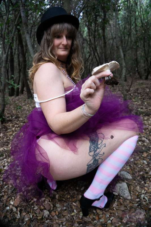 1dee3bd9fd922d5bec8b0ad02410d7f5