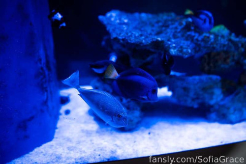 1fdaa5cffdd136d0d0a58563f49e1c2b