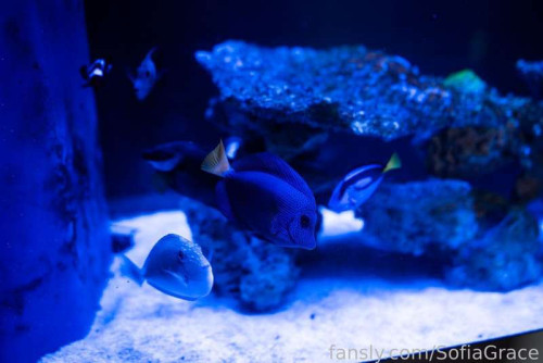 2e788bd7f82cfa4e664867f252b80a74