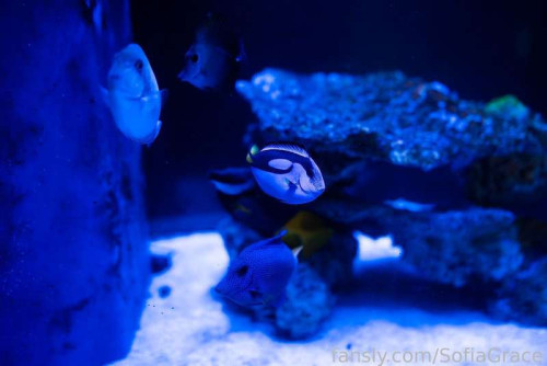 37ca3b003f469993e18e473e90aeab0b