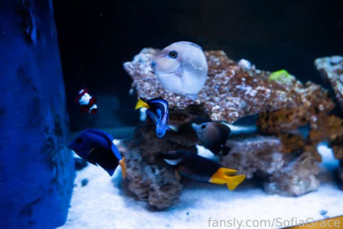 3831f1b1ecf21b1511a751b5f56b6e0b