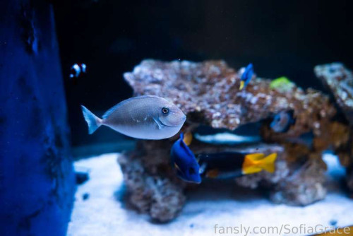 3e68b9f54451b1fdbdbf03b4e26ca6a9