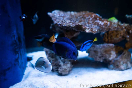 444b6de91da96d8b76f4d0da78173945