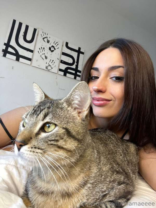 44dac64b45f37e9ff49b369e215385cb