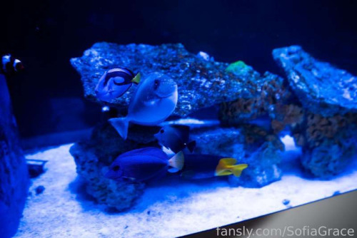 47126223e53f4f8f0fa7f9c460132eb7