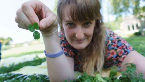 490abcbd3ce99c59538bffbcbc6f77e1