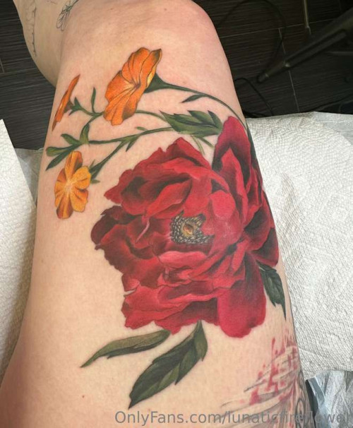 4c224971b03d43c2dab0b77a247bab15