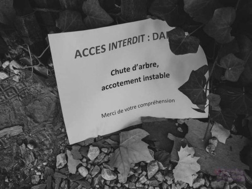 4cadf31d061e063be6b889eda9b839c5