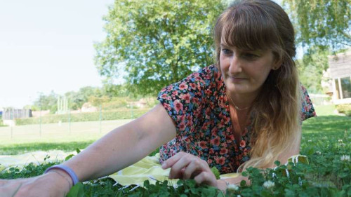 4fa7e04946d030fd7b75a1ddc75551d0