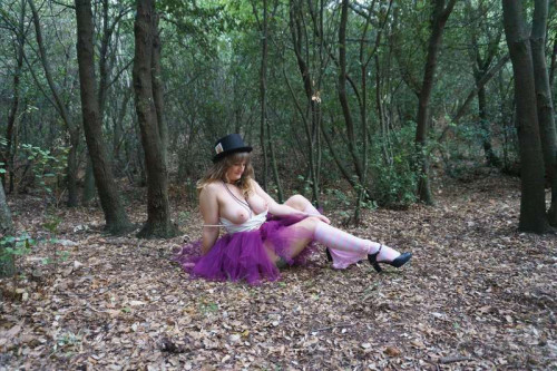 50b5c964d64dded46882ceee0407003c