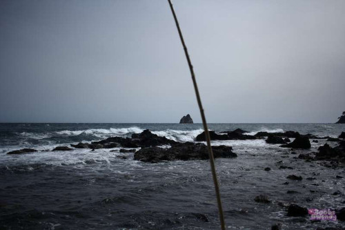 51e03f29246bb1bab3efd33a626b318e