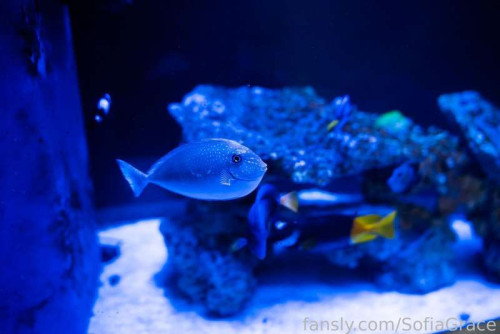 552cac17993d8b9692a91db29a0d5dae