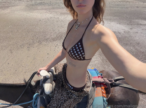 5c56444d1b335870a758e437ff41d4f7