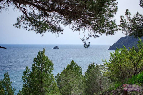 5d3e52209fcd99f1a674042e7e7f76f6