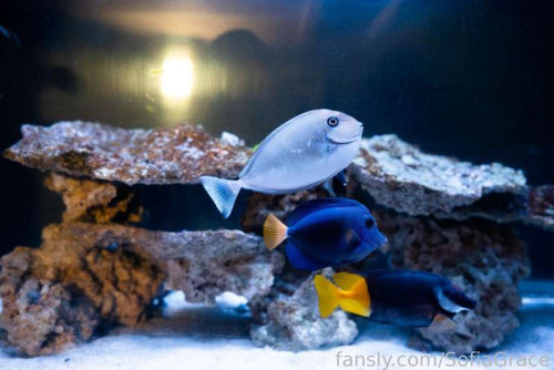 5e46bb35a6ae12ff106dd4c1bc3f7959