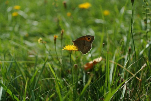 6c9a5c611b29b4bf5feb76ac6d3f90f5