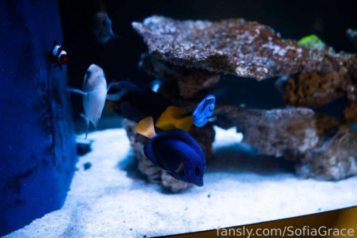 875ecc3dd7710e17a06c1acc35106945